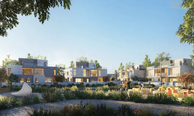 فاي سوديك الشيخ زايد