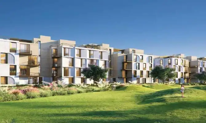 فاي سوديك الشيخ زايد