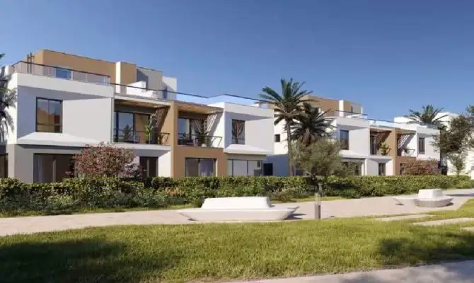 فاي سوديك الشيخ زايد