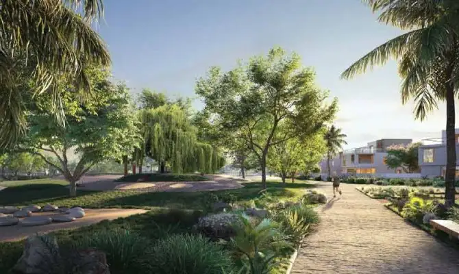 فاي سوديك الشيخ زايد