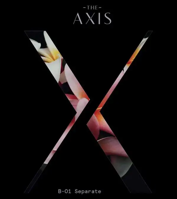 The Axis 6 October