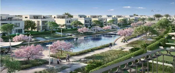 Belle Vie Sheikh Zayed